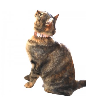 Collier antidouleur en cuivre magnétique pour chat